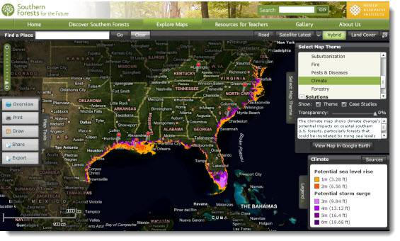 Southern Forests