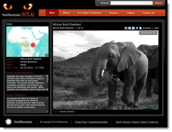 SI_WILD_mapAndElephant Smithsonian Wild