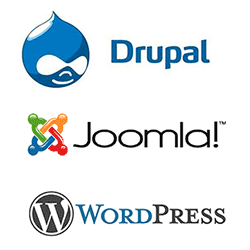 Content Management Systems