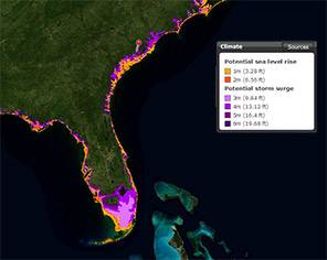 Southern Forests for the Future